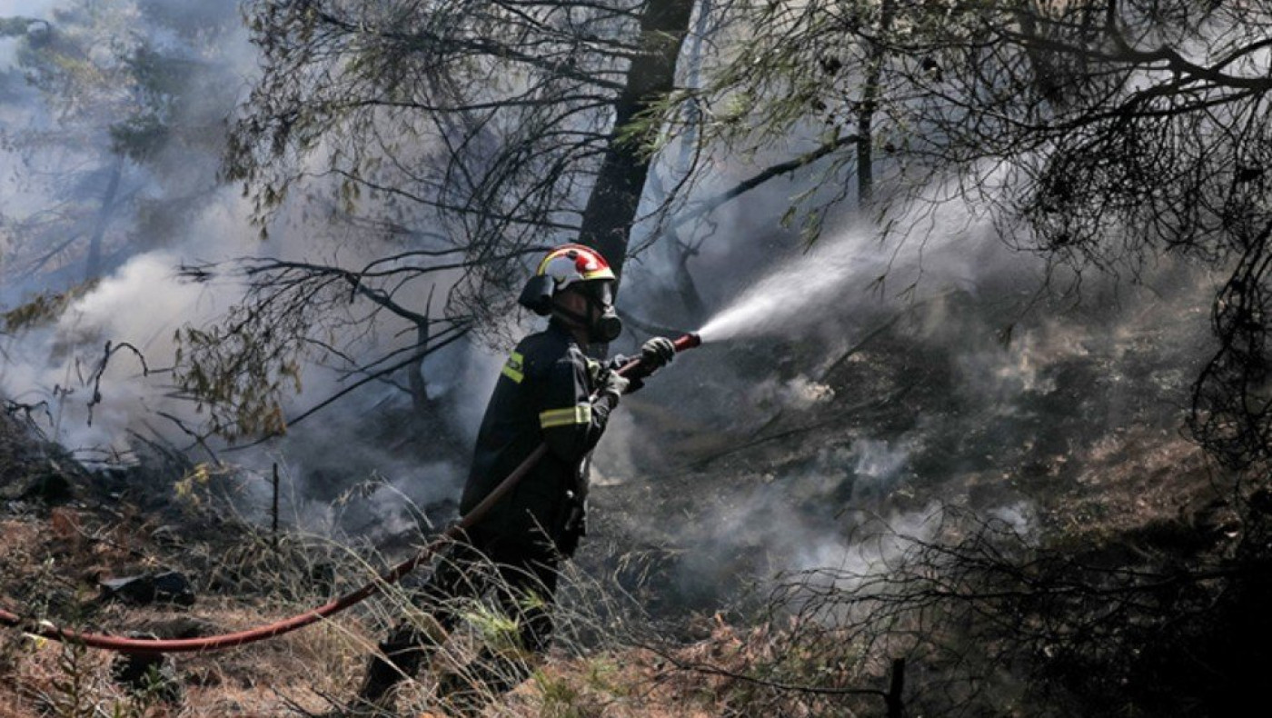 Στεργιάδης: «Σε εκτάσεις με ελιές η φωτιά στον Πολύγυρο»