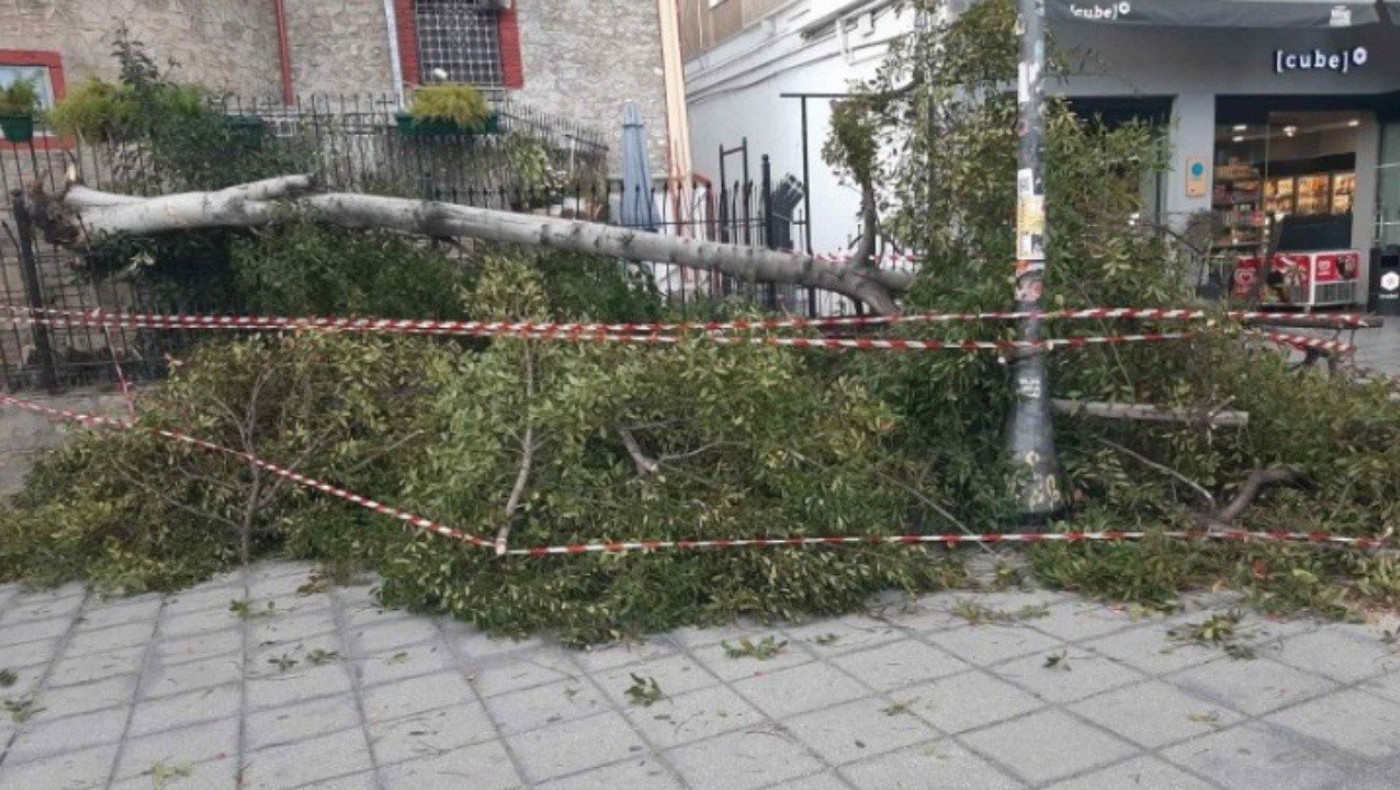 Ισχυροί άνεμοι και πτώσεις δέντρων στη Θεσσαλονίκη