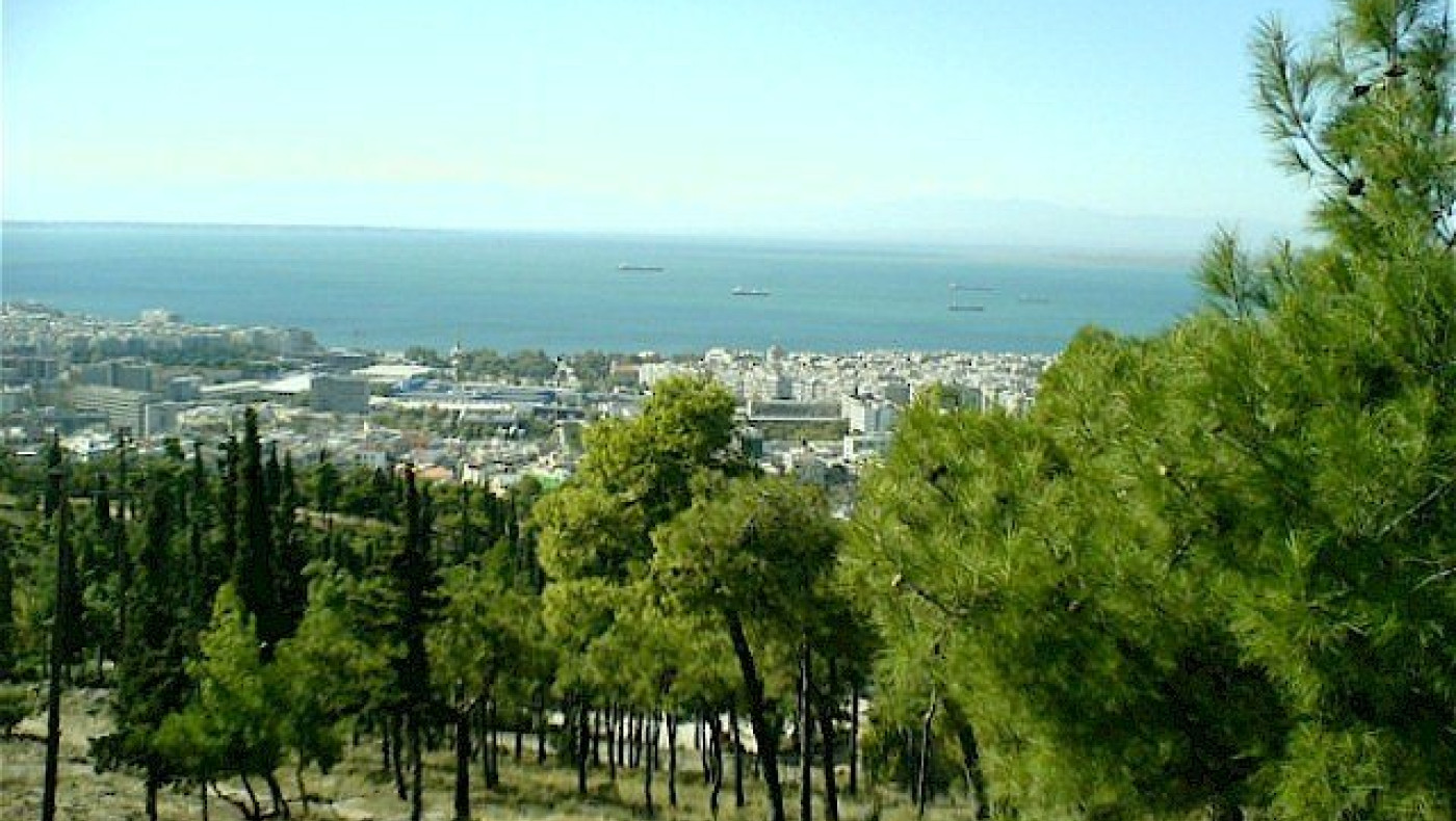 Θεσσαλονίκη: Αναδάσωση την ερχόμενη Κυριακή στο Σέιχ Σου