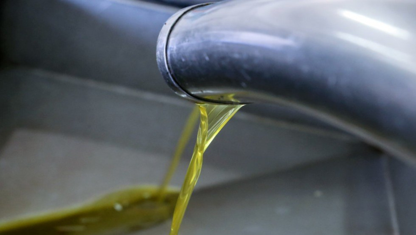Πώς θα ξεχωρίσετε το νοθευμένο ελαιόλαδο