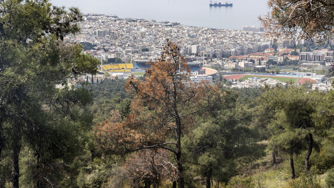 Θεσσαλονίκη: Έρχεται περιαστικό άλσος 15 στρεμμάτων-Πού θα γίνει