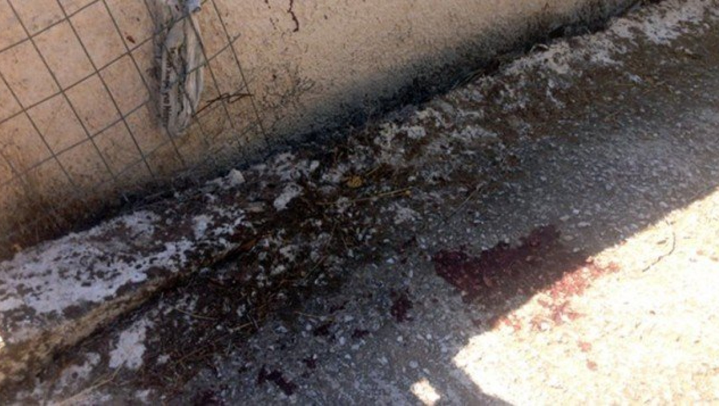 Η 26χρονη φόνισσα είναι εγγονή τής «Τίγρης του Κορωπίου»! (ΦΩΤΟ)