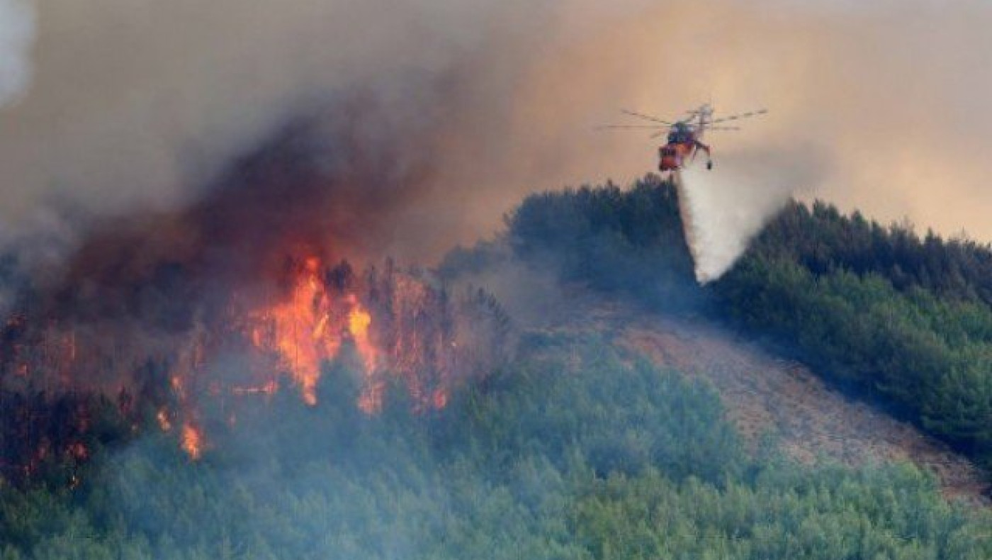 Τι άφησε πίσω της η μεγάλη πυρκαγιά στη Θάσο (ΒΙΝΤΕΟ)