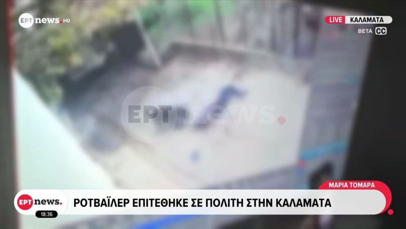 Καλαμάτα: Σε κρίσιμη κατάσταση ο 76χρονος που δέχθηκε επίθεση από το σκυλί του