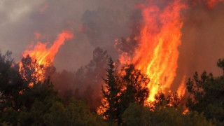 Μακεδονία: Πέντε πυρκαγιές σε εξέλιξη-Σε ποια σημεία μαίνονται μέτωπα!