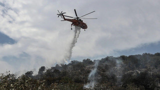 «Από κεραυνούς ξέσπασαν οι φωτιές στη Χαλκιδική»