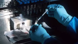 Η χορήγηση ταυρίνης επιβραδύνει τη γήρανση σε ποντίκια και πιθήκους σύμφωνα με νέα μελέτη