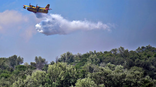 Φωτιά σε Φάρσαλα και Σουφλί: Συναγερμός στην Πυροσβεστική - Ήχησε το 112 (pics)