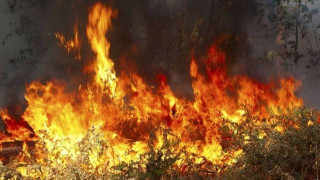 Θεσσαλονίκη - ΠΡΙΝ  ΛΙΓΟ:  Φωτιά  στη Νέα Ραιδεστό