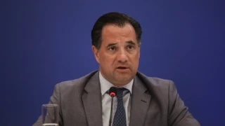 Γεωργιάδης: Η Κωνσταντοπούλου έβαλε τρομερές τρικλοποδιές στην Καρυστιανού